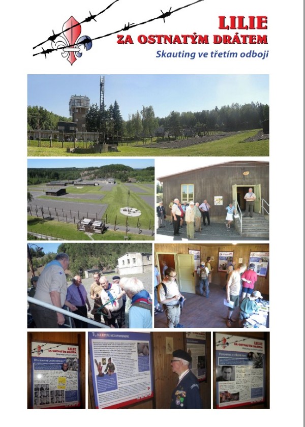 Lilie za ostnatm drtem